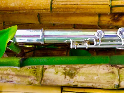 Closeup of a flute next to a piece of bamboo